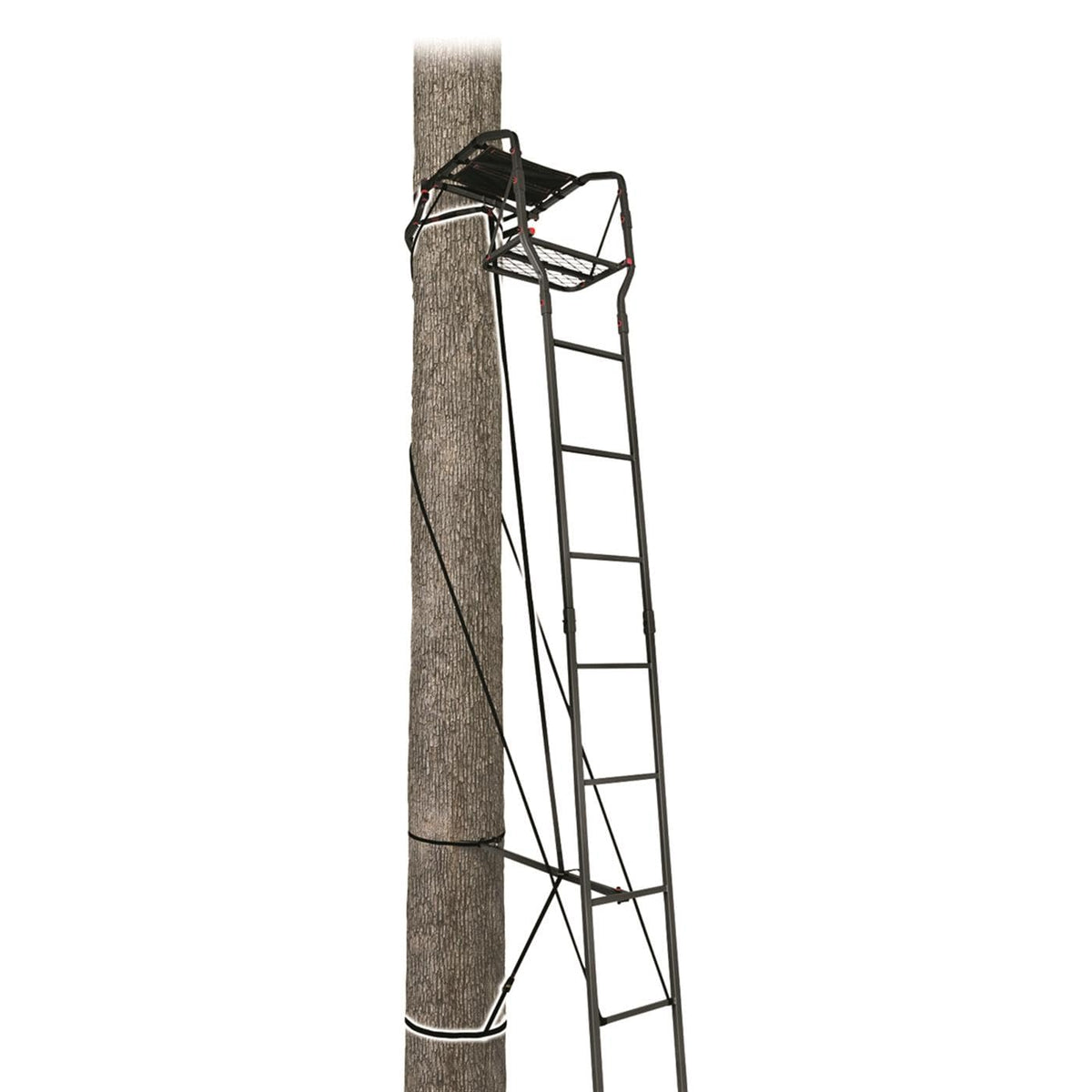 15’ Single Person Ladder Tree Stand S899729