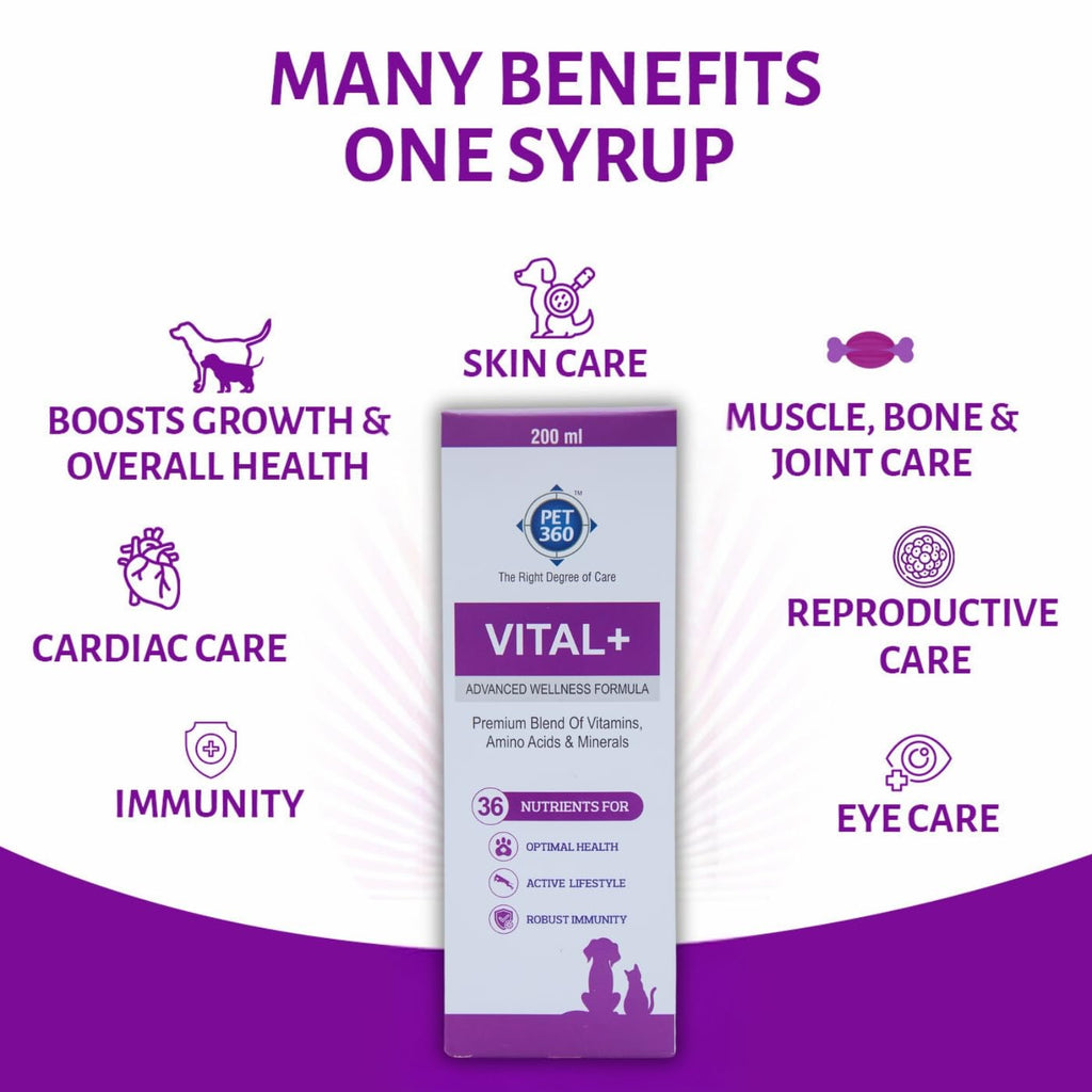 Multivitamin Syrup Nutritional Supplement for Dogs & Cats 200 ml N7746