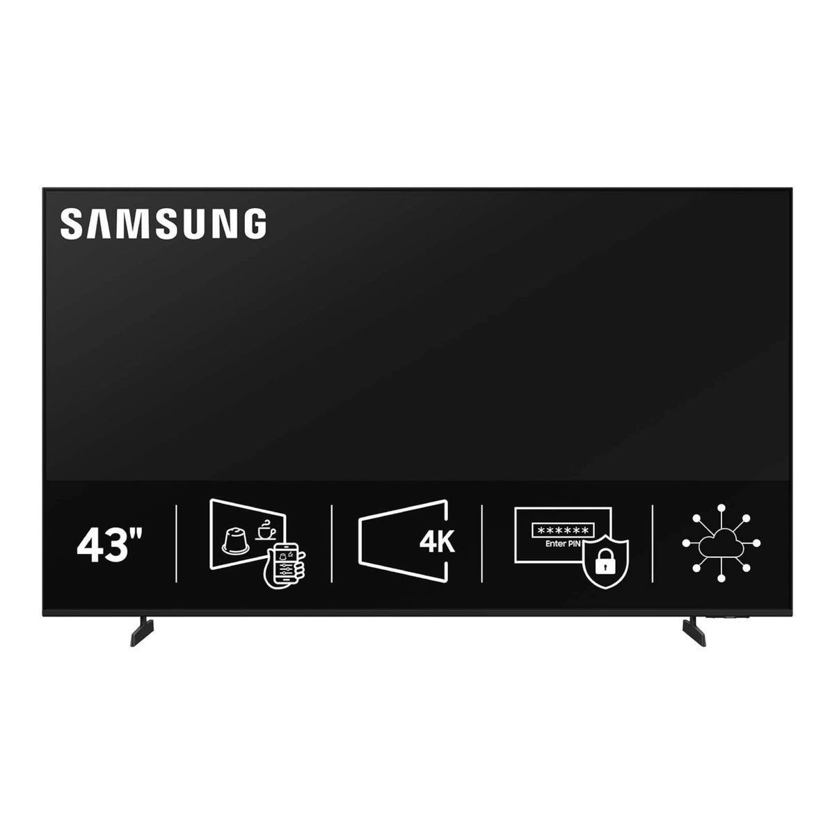 43” 4K Business Pro TV L259