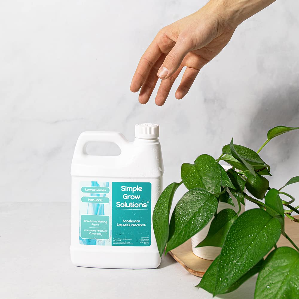 Liquid Non-Ionic Surfactant 32 Ounce O3891