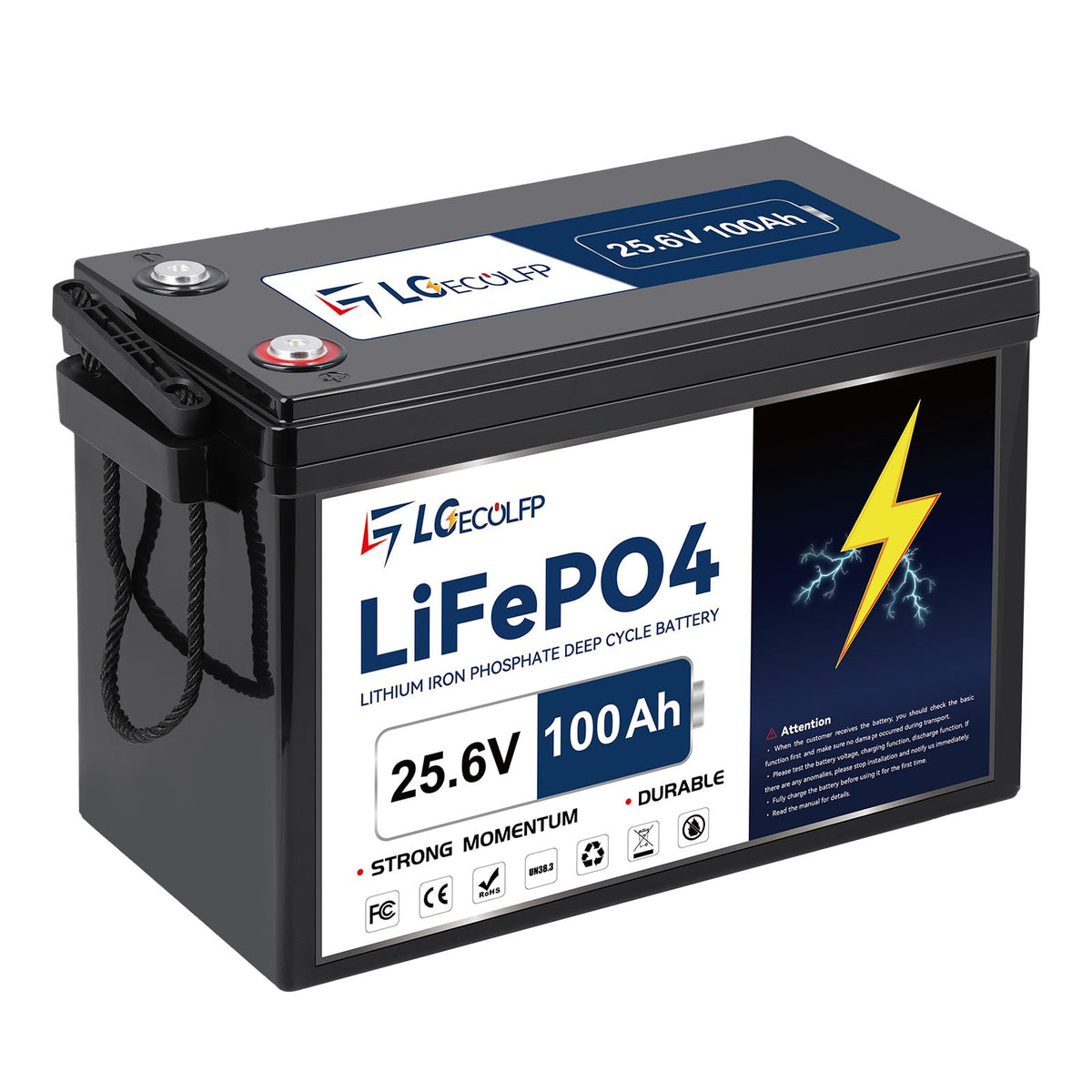 24V 100Ah LiFePO4 Battery with 100A BMS Y8572