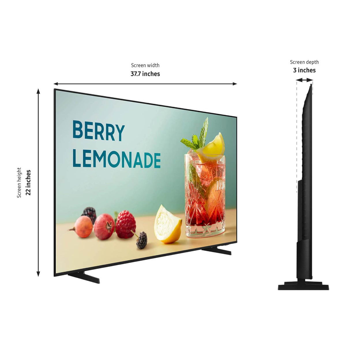 43” 4K Business Pro TV L259