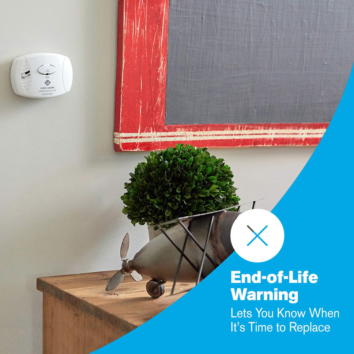Battery Carbon Monoxide Alarm D73368