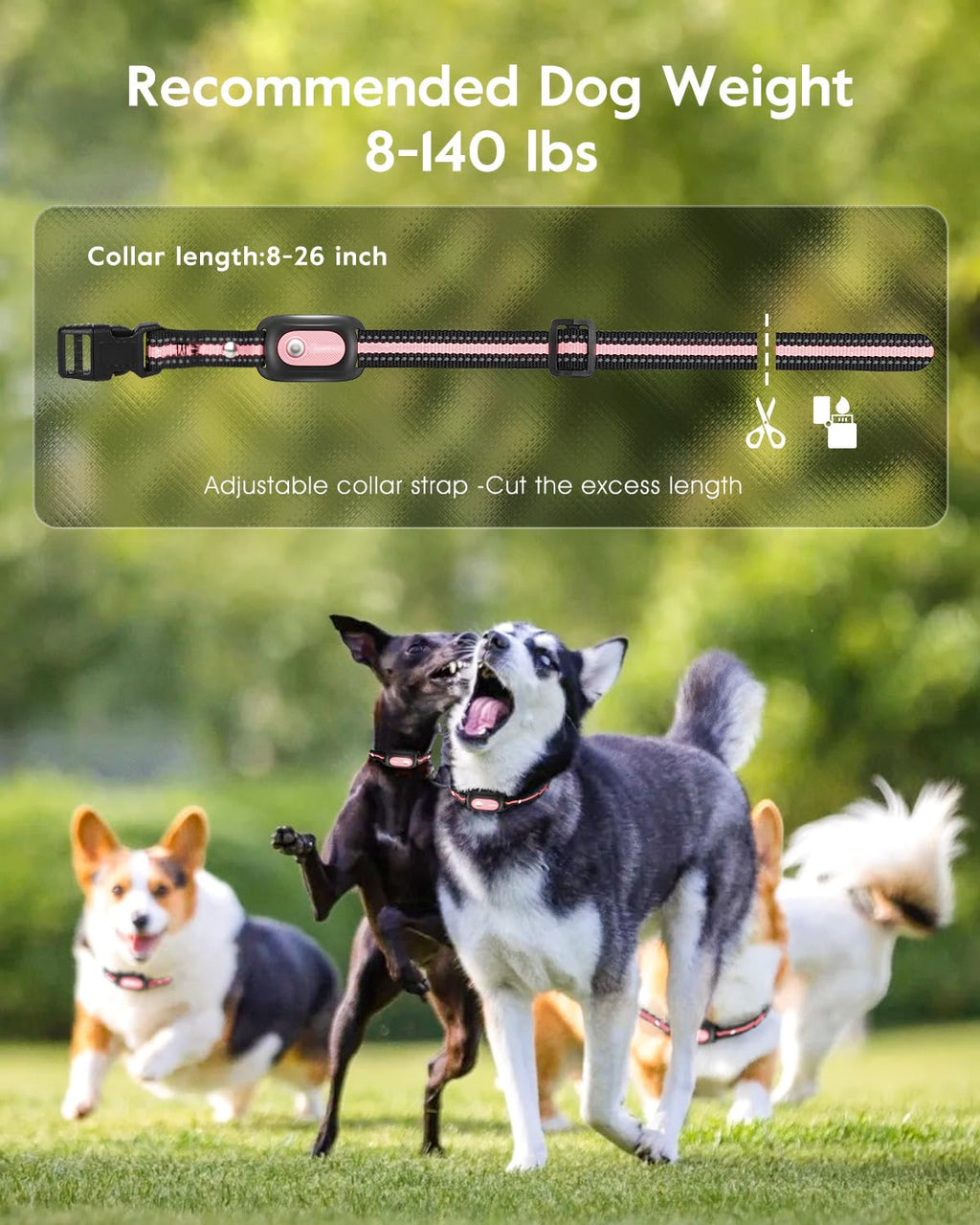 Pink Dog Training Collar with Remote H9166