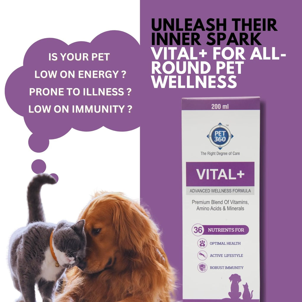 Multivitamin Syrup Nutritional Supplement for Dogs & Cats 200 ml N7746