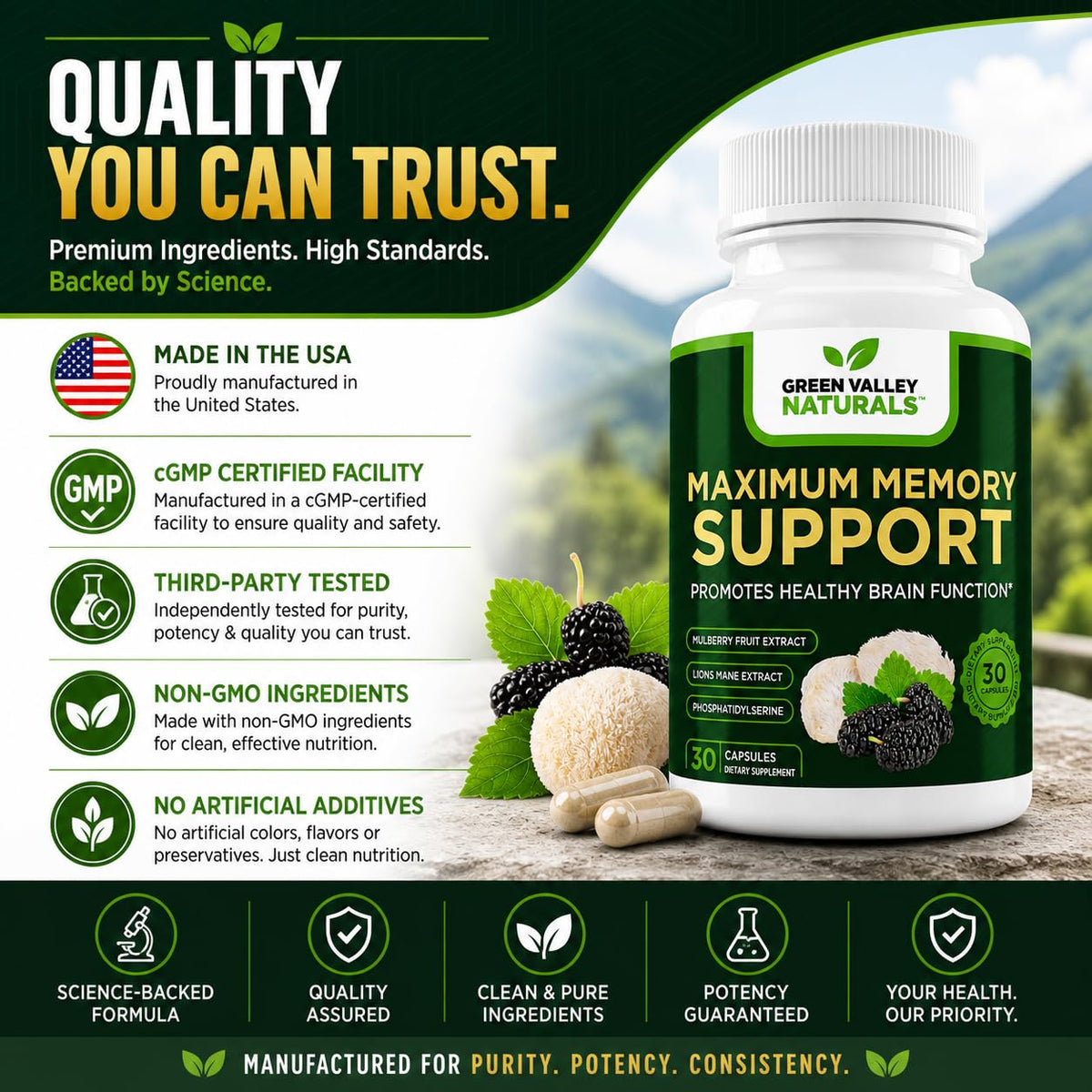Lion's Mane Mulberry Phosphatidylserine 30 Capsules Y615944