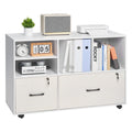 White 2 Drawer Wooden Lockable Mobile File Cabinet Z940