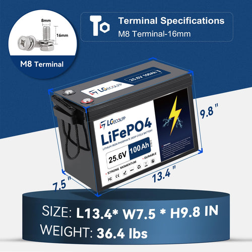 24V 100Ah LiFePO4 Battery with 100A BMS Y8572