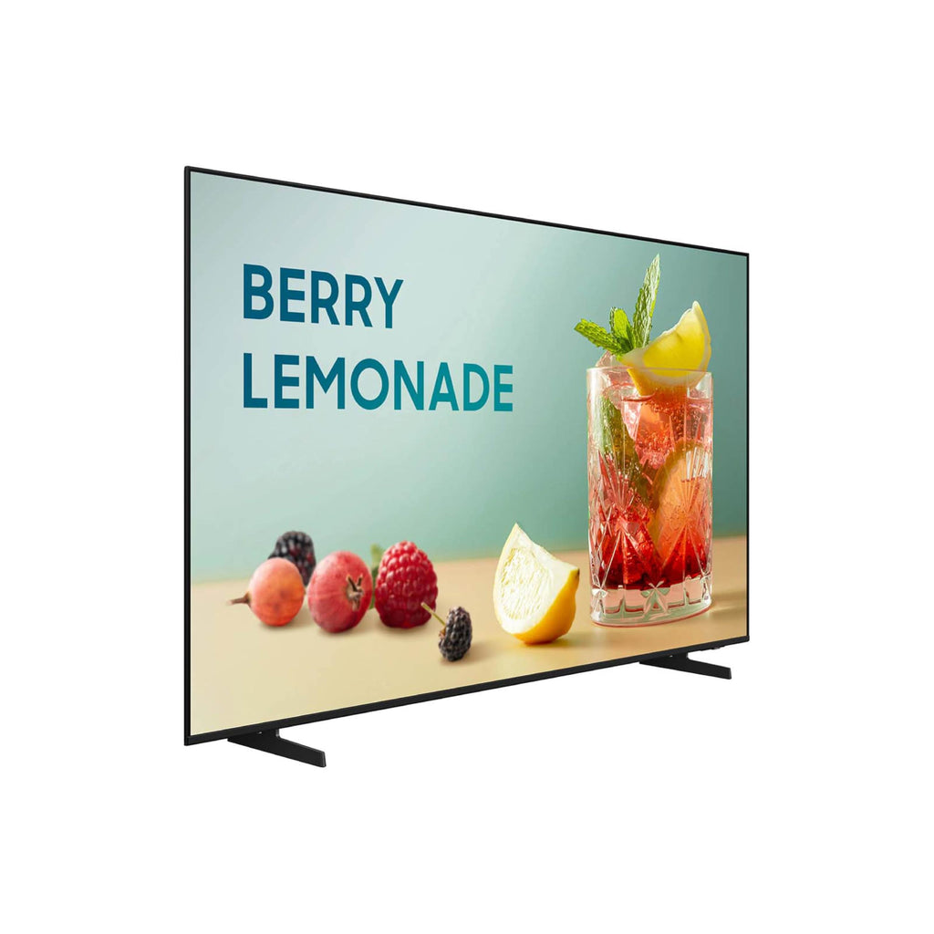 43” 4K Business Pro TV L259