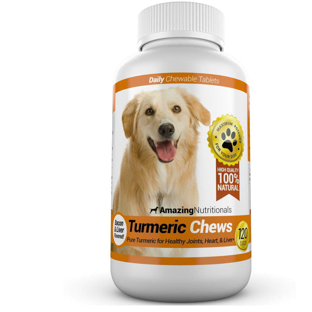Turmeric Probiotics for Dogs Digestive Health Bundle M849