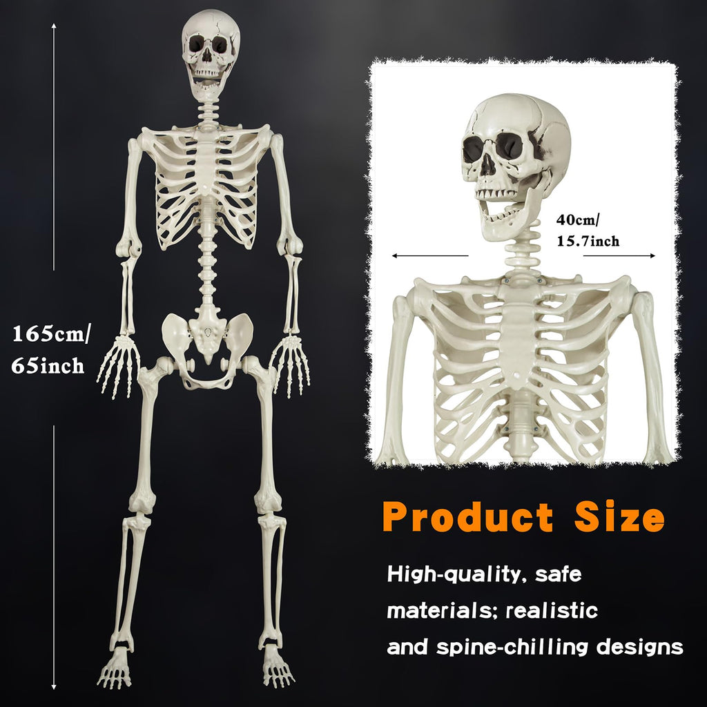 5.4ft Posable Skeleton S58804