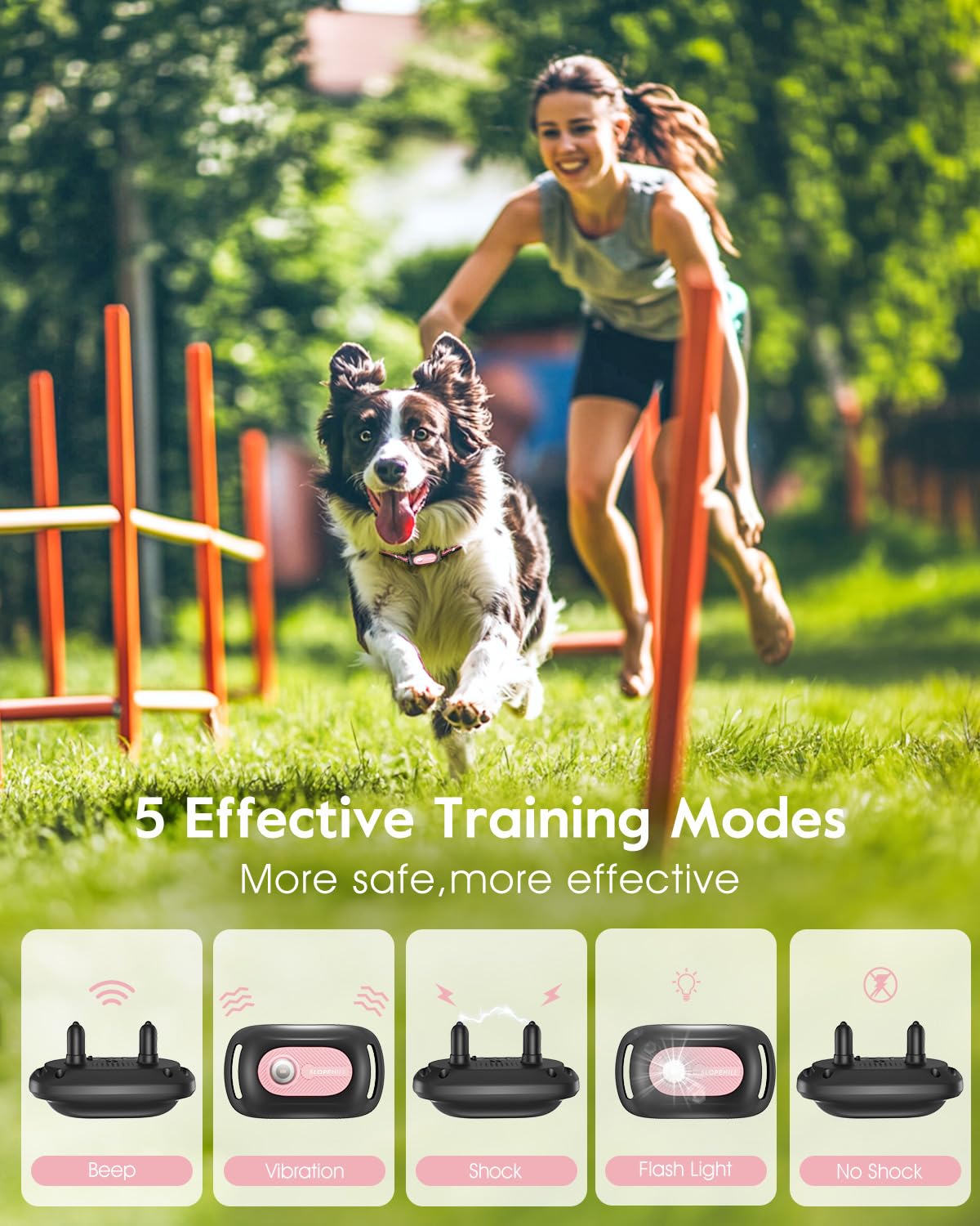 Pink Dog Training Collar with Remote H9166