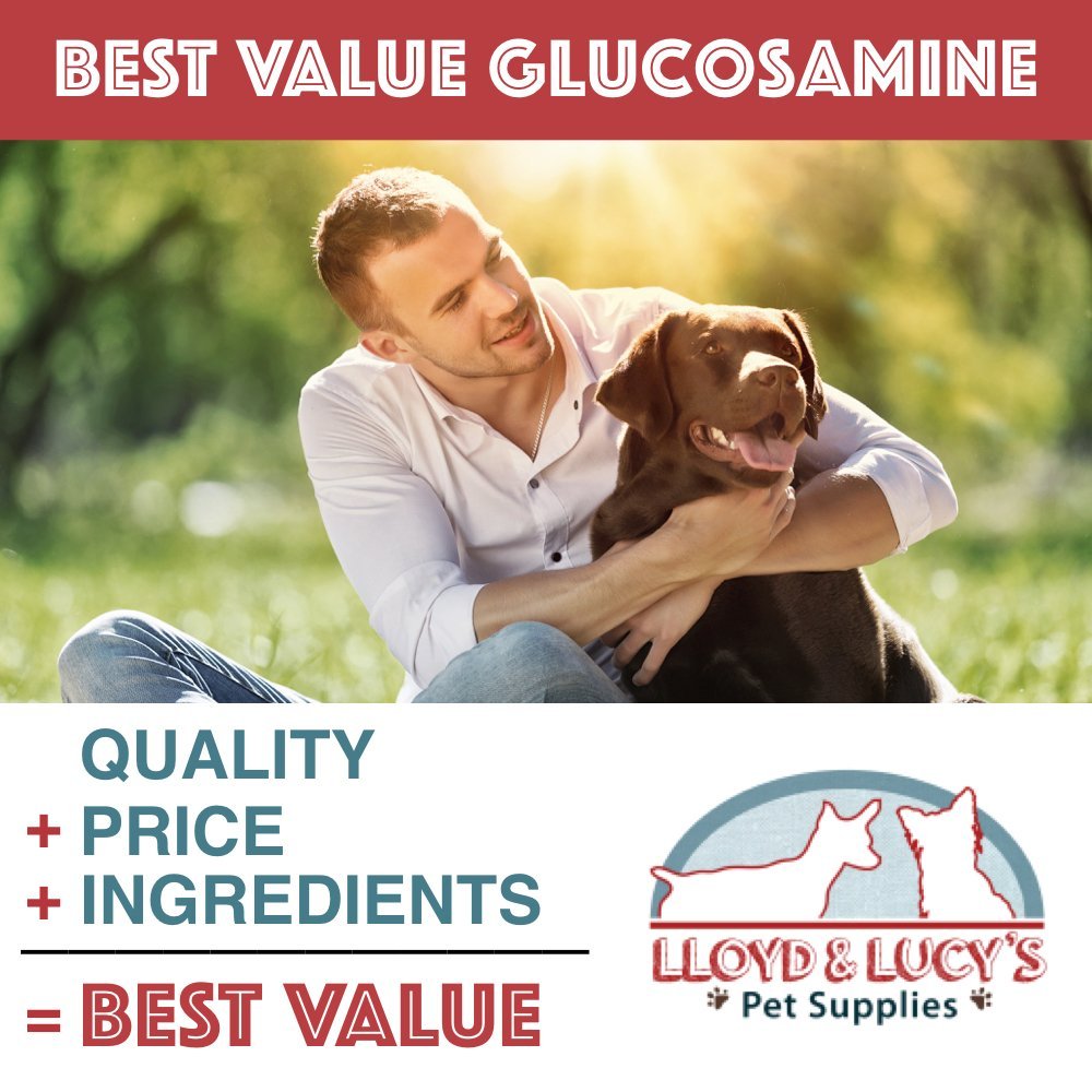 Chewable Hip and Joint Supplement for Dogs 180 Ct Tablets Y670037