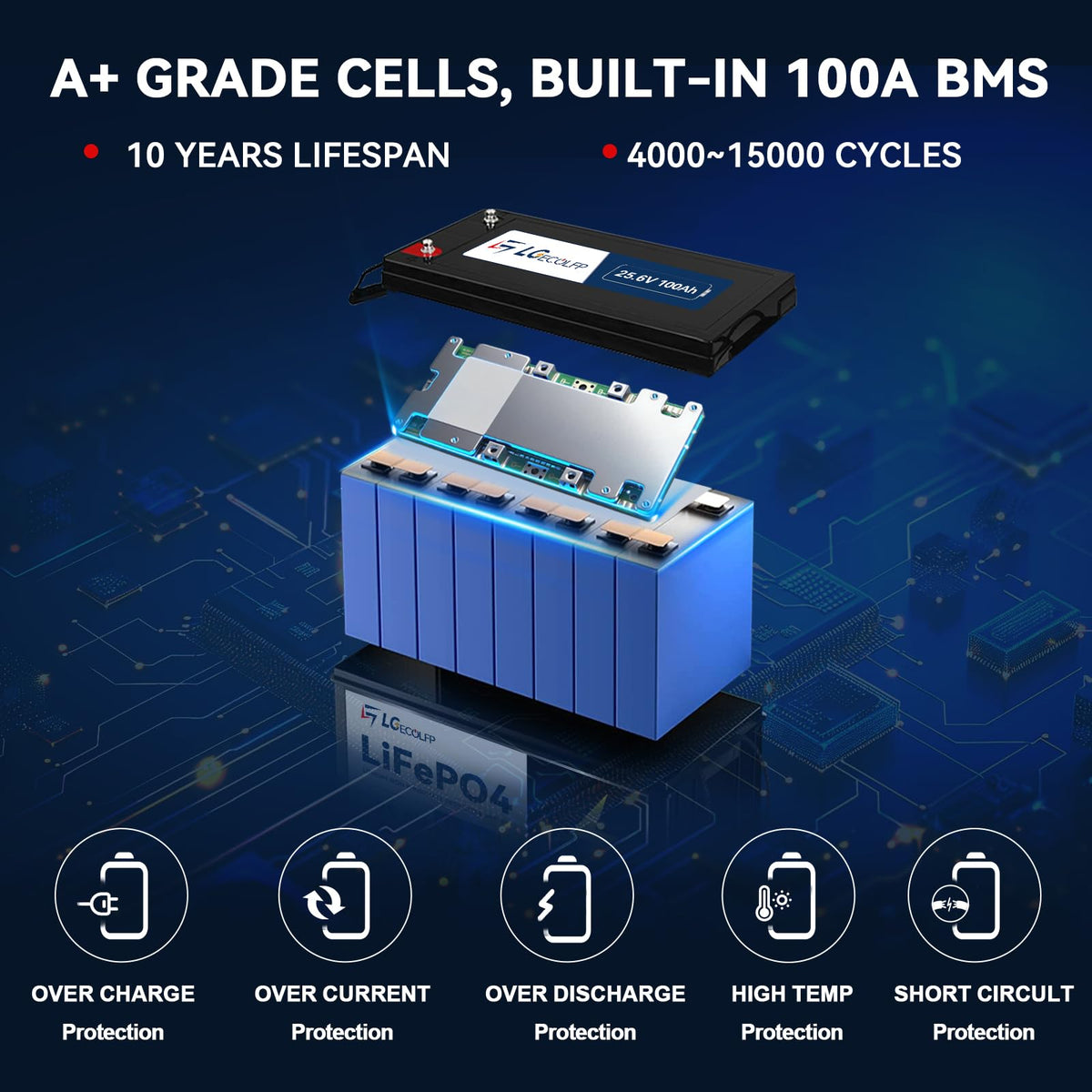 24V 100Ah LiFePO4 Battery with 100A BMS Y8572