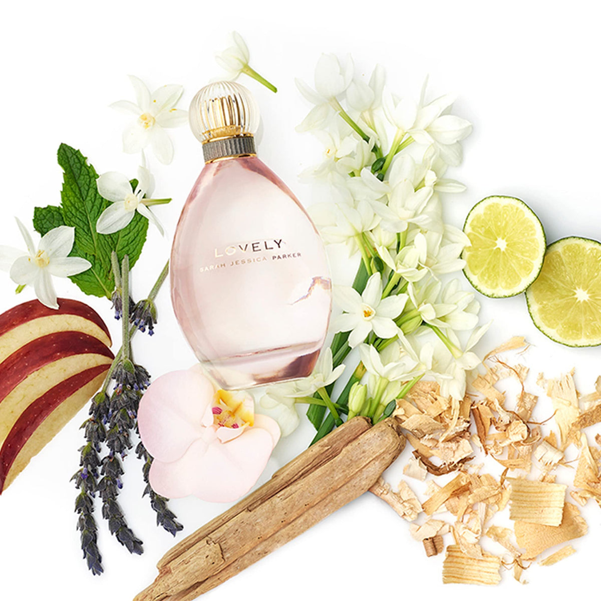 White Amber 2 Pc Perfume Spray And Body Lotion Gift Set X385