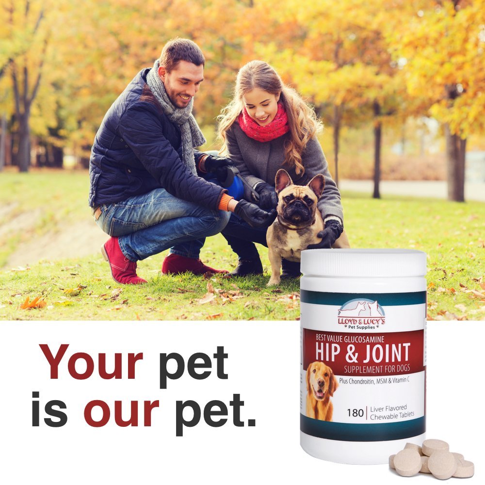 Chewable Hip and Joint Supplement for Dogs 180 Ct Tablets Y670037