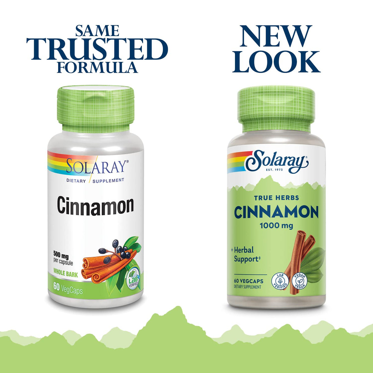 Cinnamon Bark 1000mg Vegan Capsules Z315376