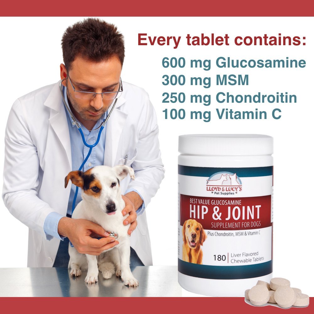 Chewable Hip and Joint Supplement for Dogs 180 Ct Tablets Y670037