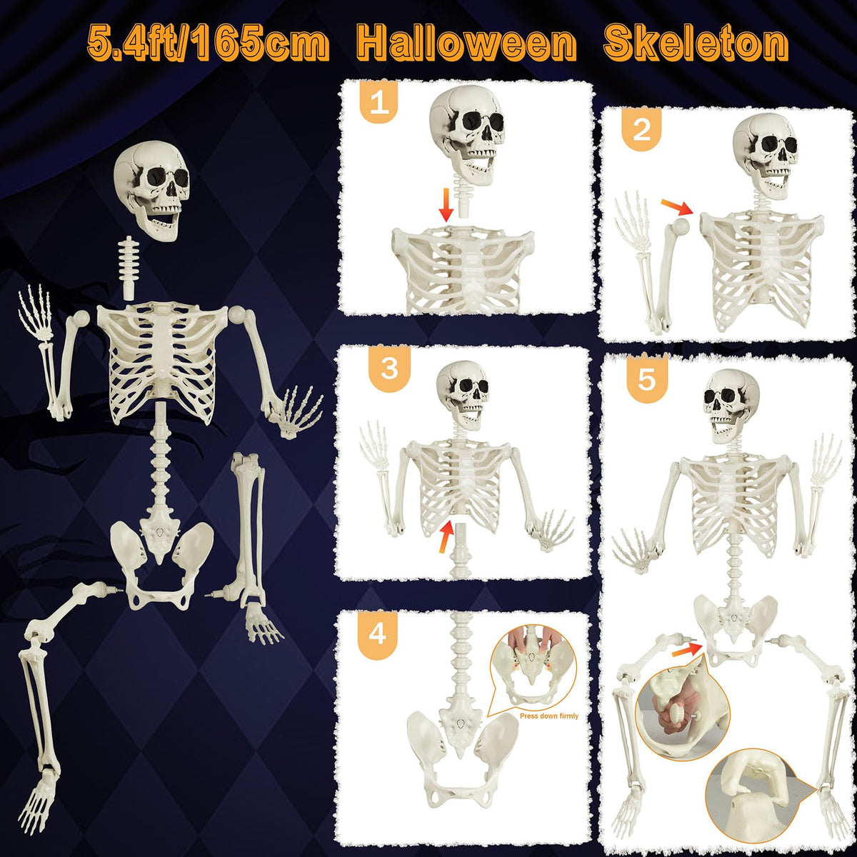 5.4ft Posable Skeleton S58804