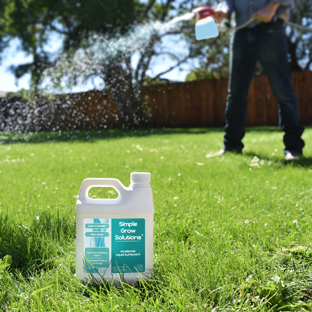 Liquid Non-Ionic Surfactant 32 Ounce O3891