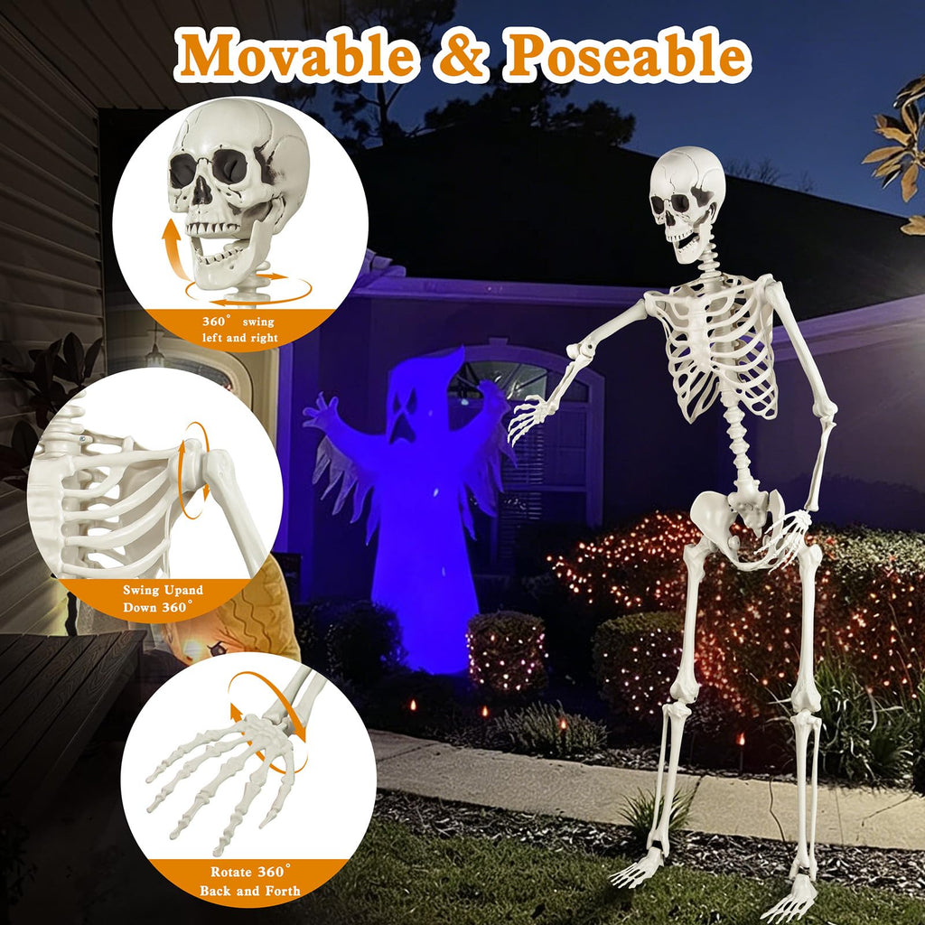 5.4ft Posable Skeleton S58804