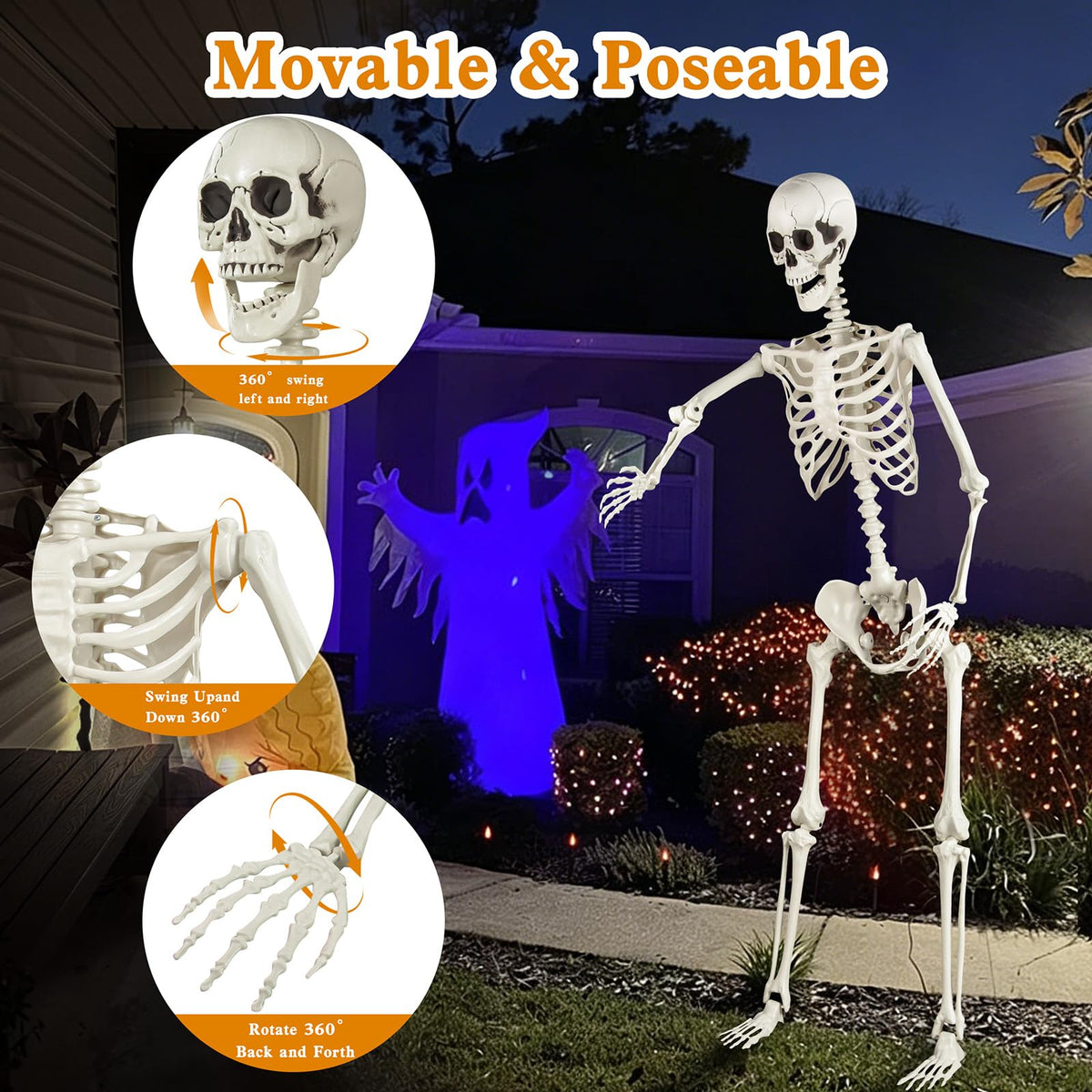 5.4ft Posable Skeleton S58804