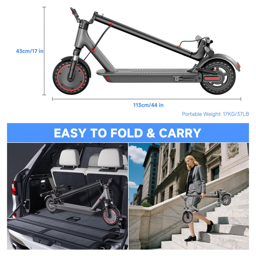 Folding Electric Scooter with 250W-500W Motor C4022