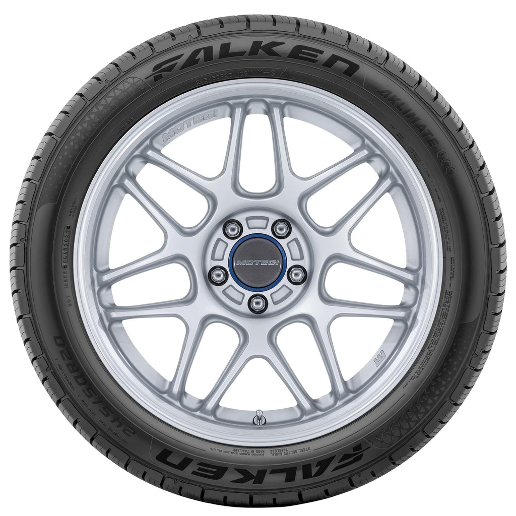 205/65R15 99H XL All Weather Passenger Tire V189035