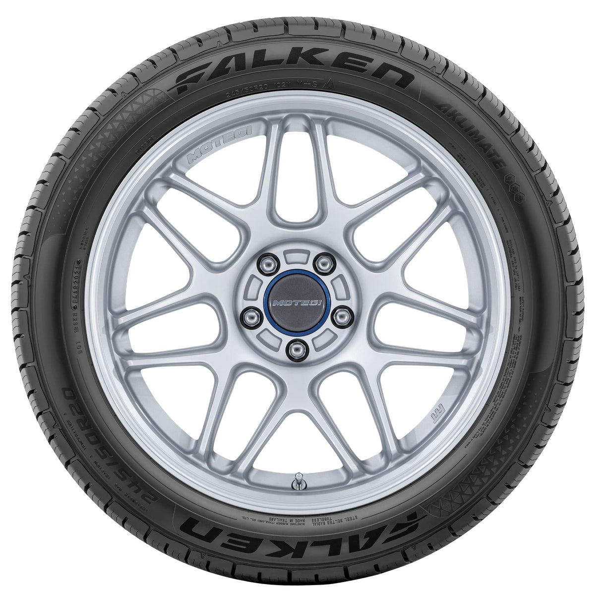 205/65R15 99H XL All Weather Passenger Tire V189035