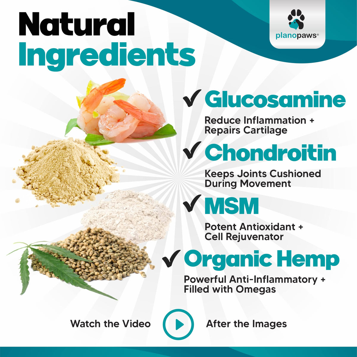Glucosamine for Dogs Hip and Joint Supplement Soft Chews Z538193