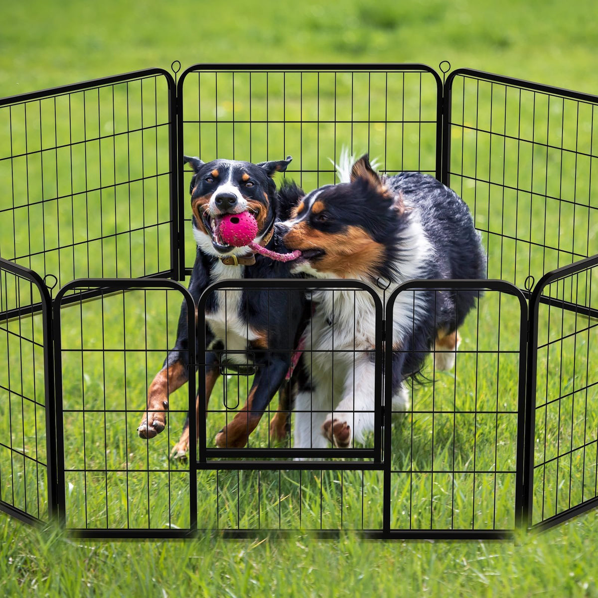40 Inch 16 Panels Metal Dog Playpen Z653