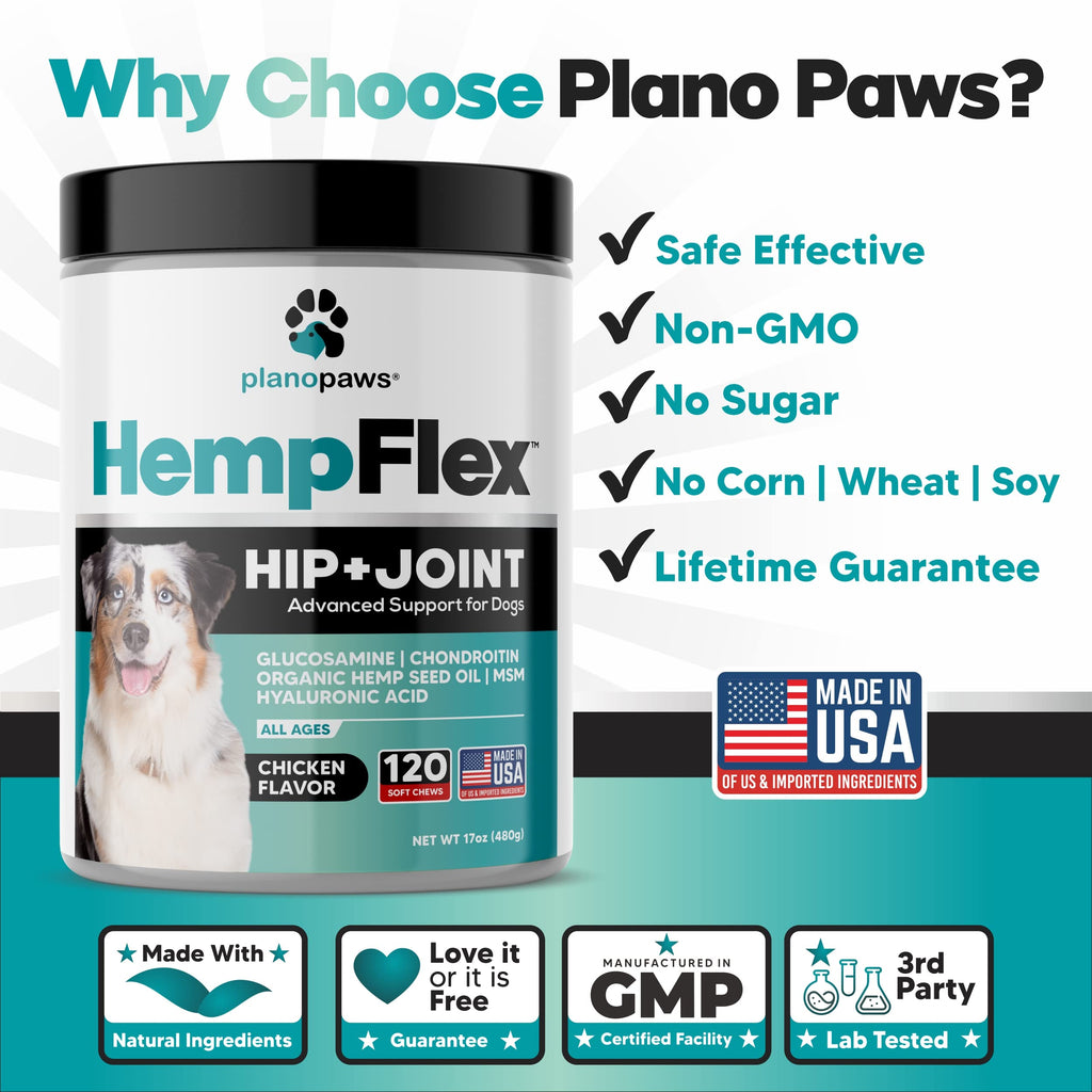 Glucosamine for Dogs Hip and Joint Supplement Soft Chews Z538193