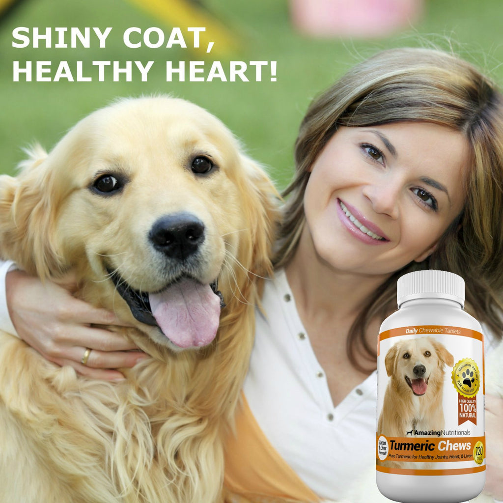 Turmeric Probiotics for Dogs Digestive Health Bundle M849