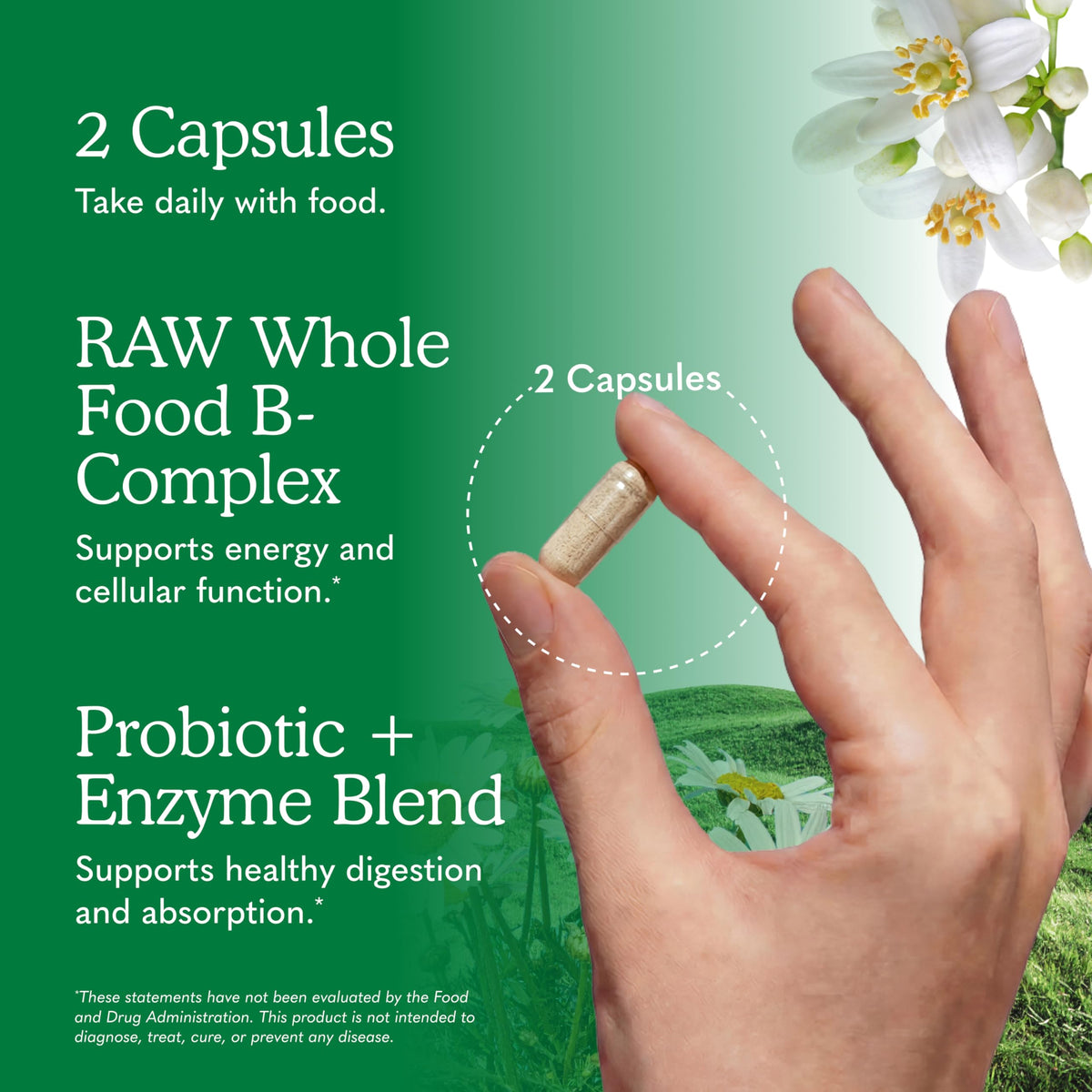120 Vegan Capsules B-Complex J19798