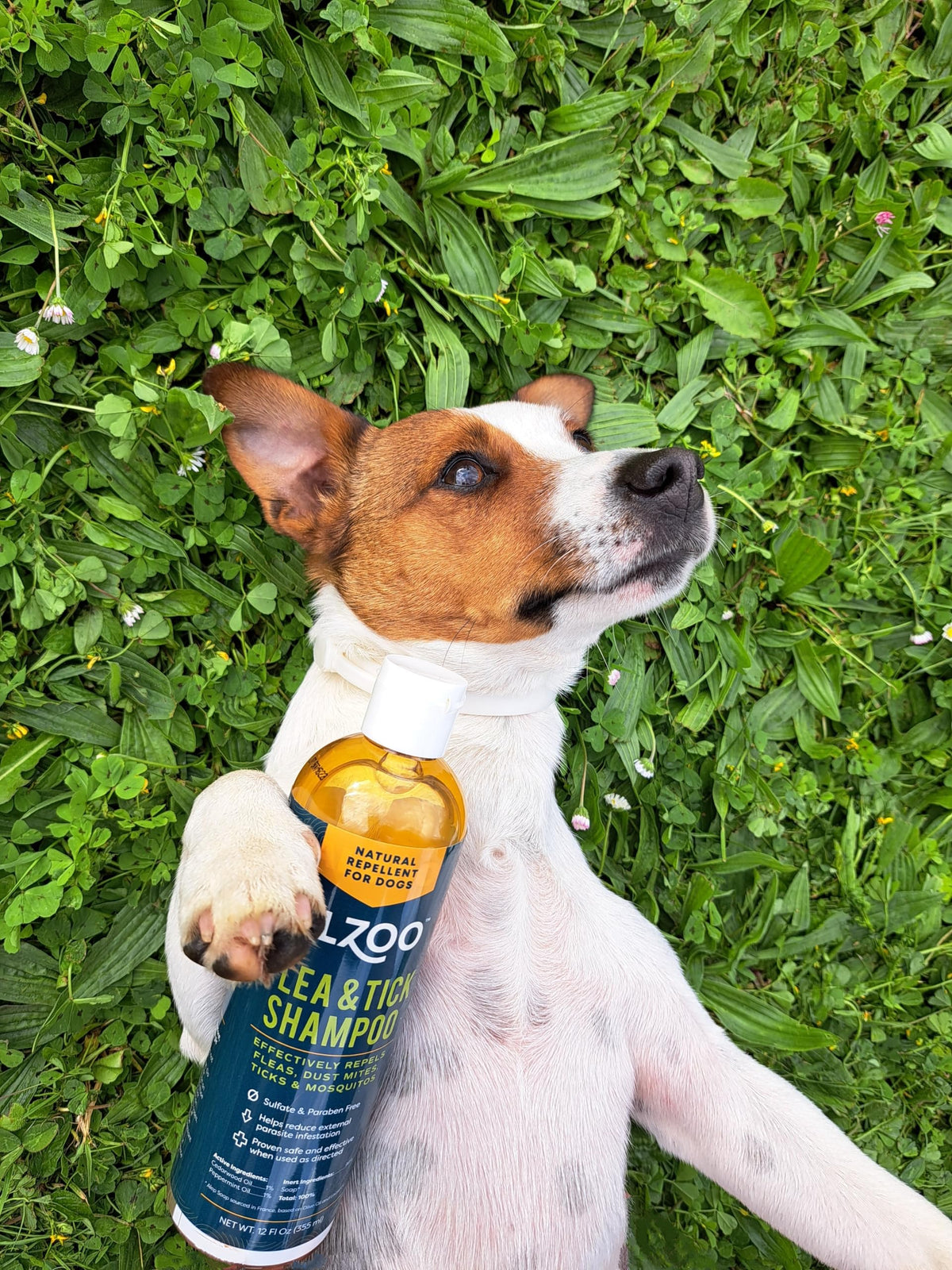 Plant Based Flea and Tick Repellent Dog Shampoo 12 Fl. Oz. R630080